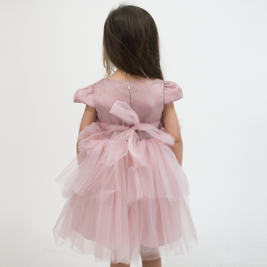 Special Sonia Baby Formal Dress